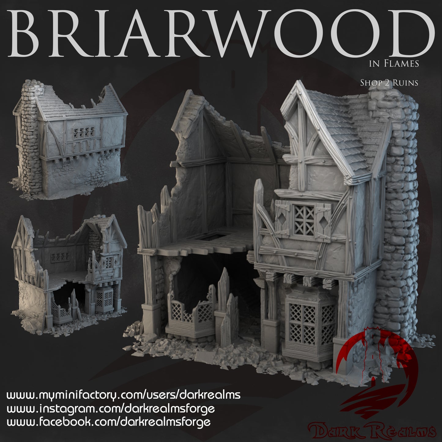 Briarwood Shop 2 Ruins