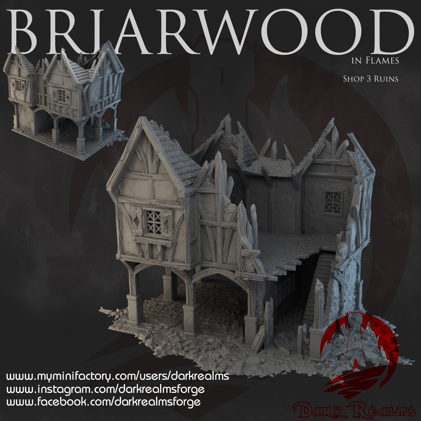 Briarwood Shop 3 Ruins