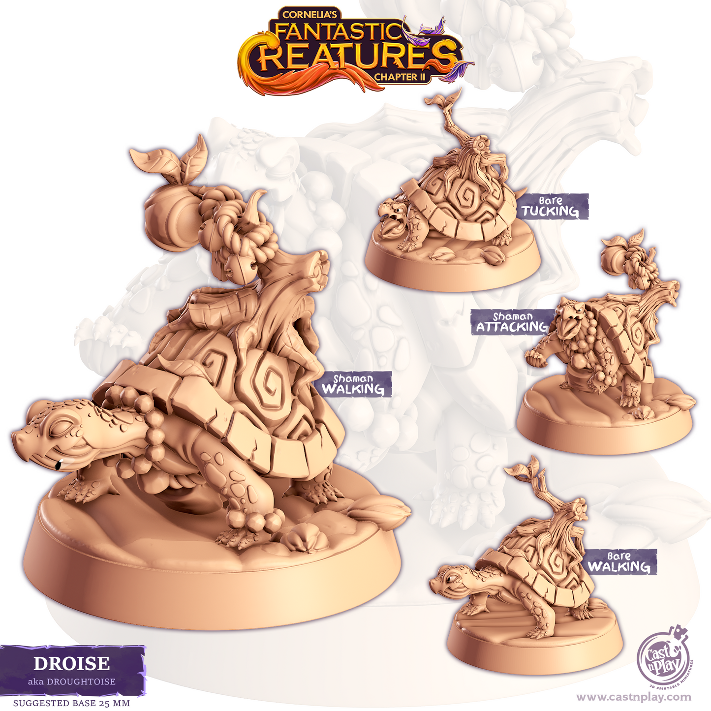 Droise - Droughtoise