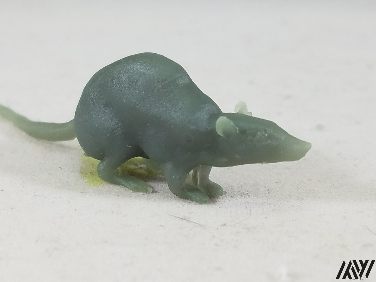 Large Rat