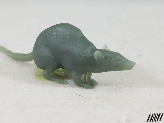 Large Rat