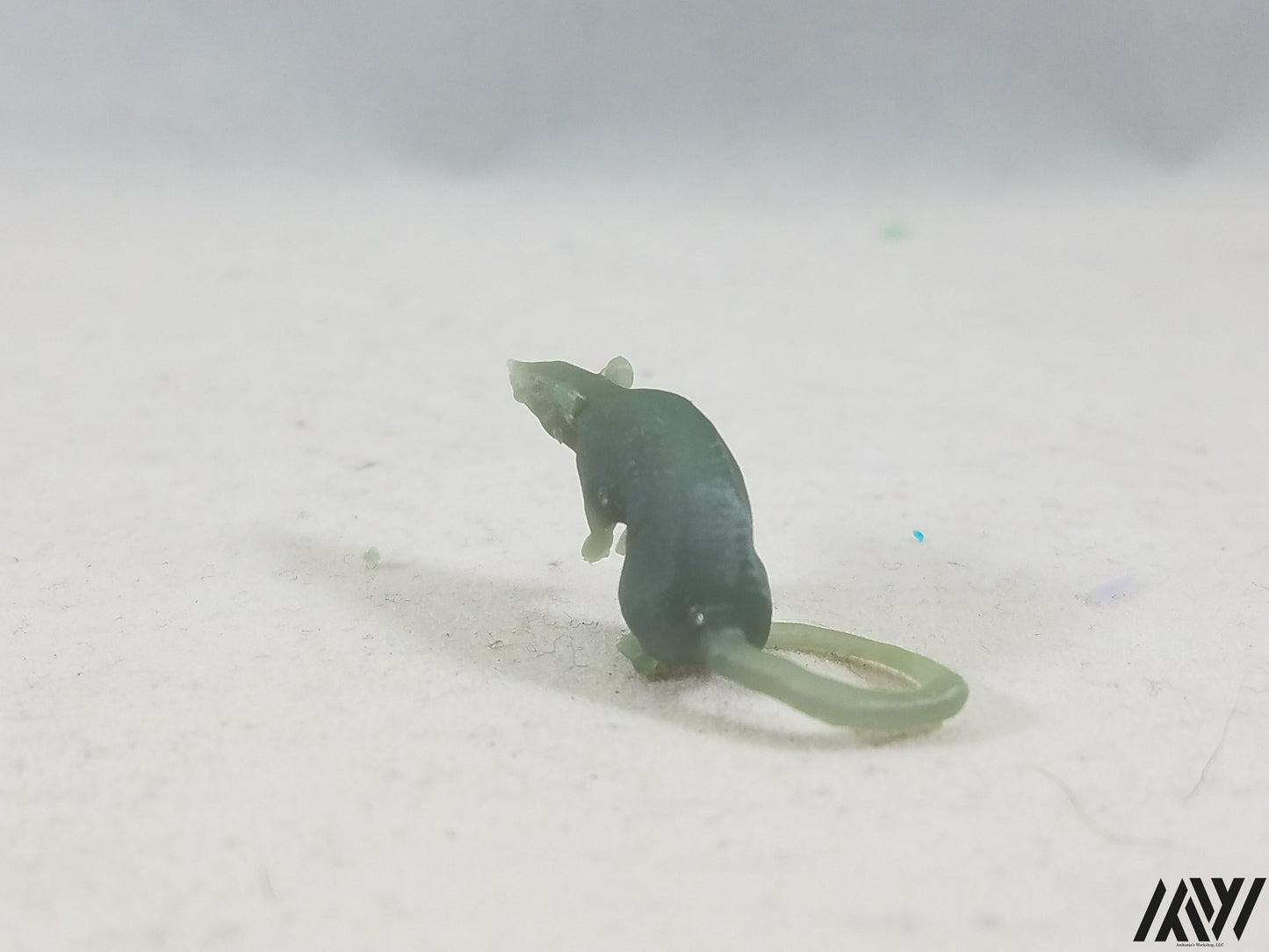 Small Rat