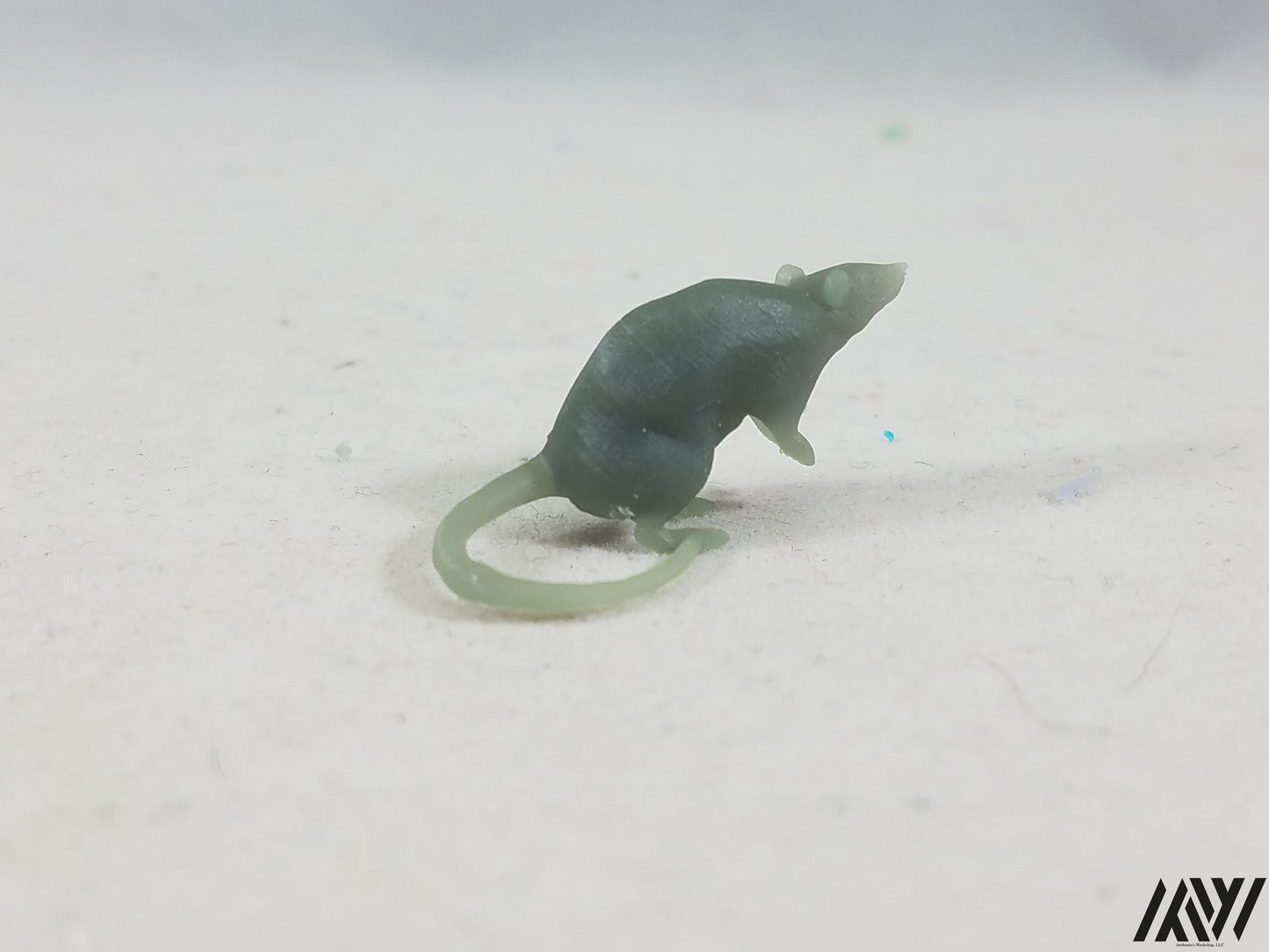 Small Rat