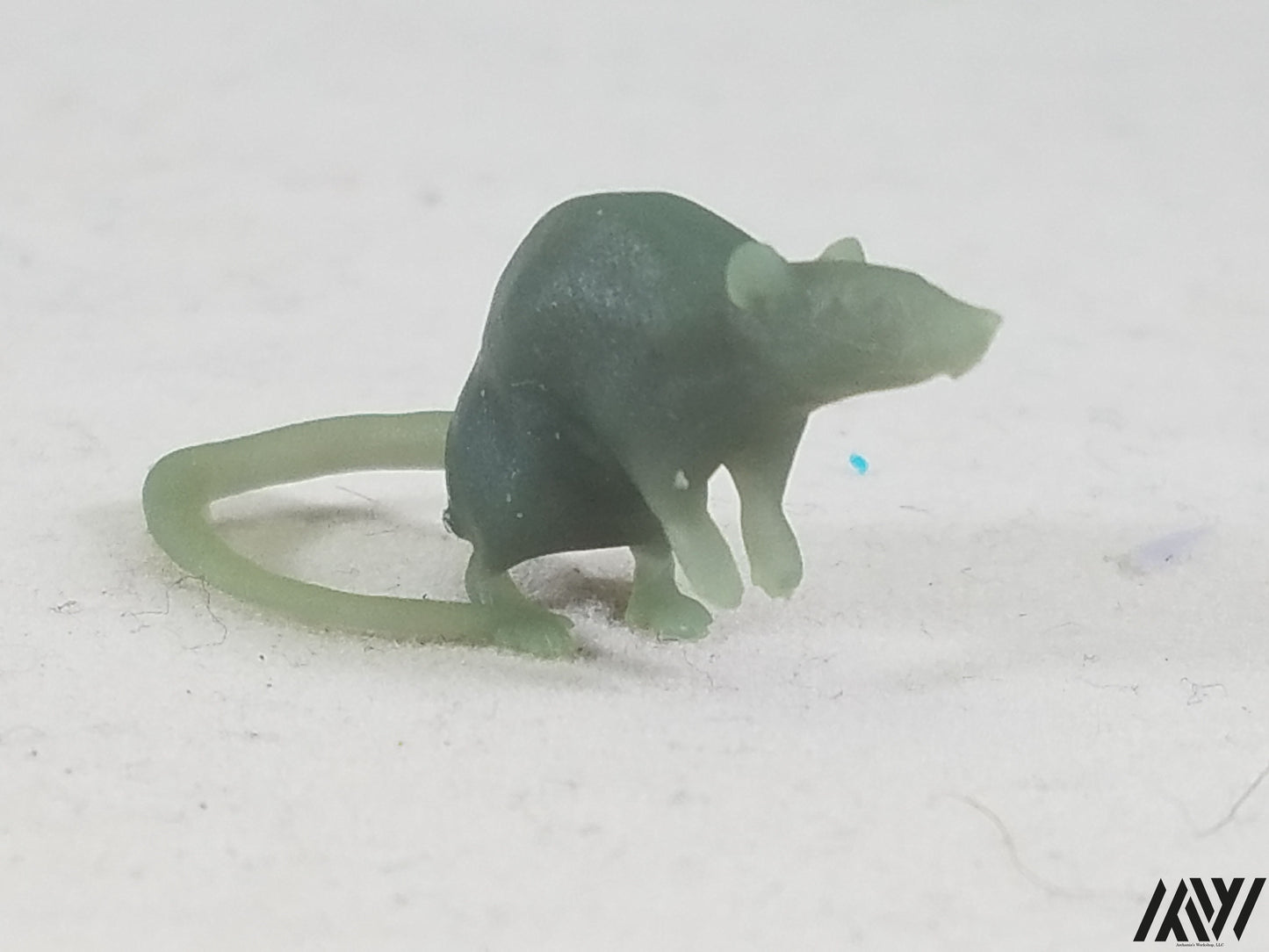 Small Rat