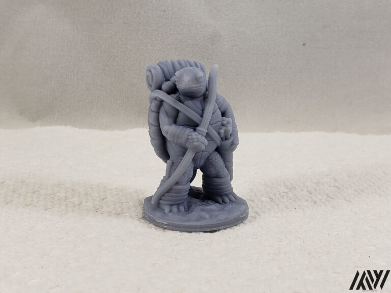 Turdle Adventurer 1