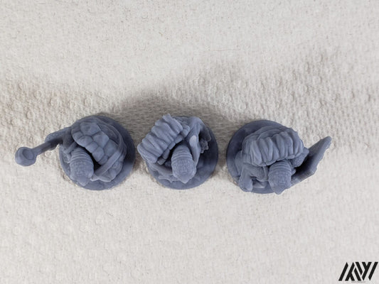 Turdle Adventures Set