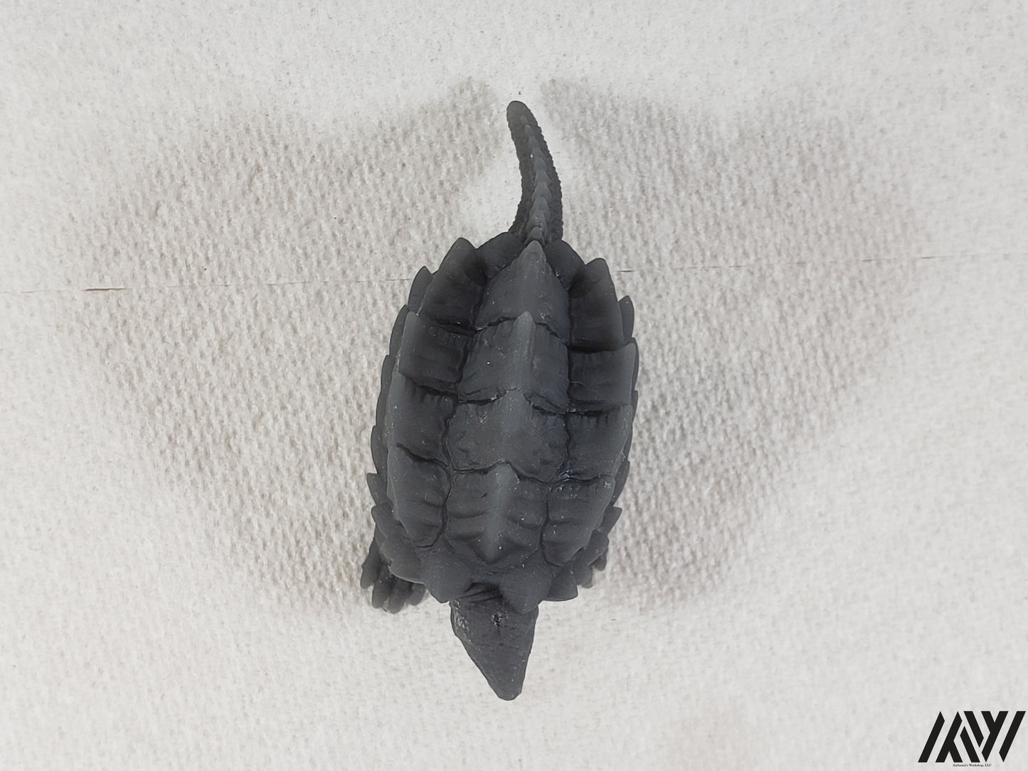 Snapping Turtle 1
