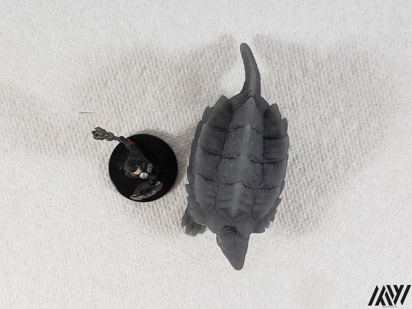 Snapping Turtle 1