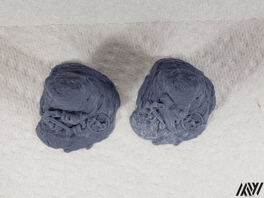 Long Dead Adventurer Set