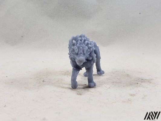 Wolf