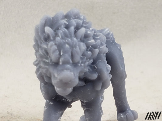 Wolf