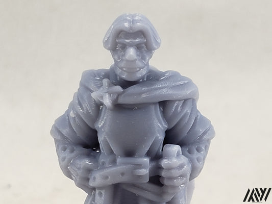 Guard Captain