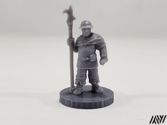 Town Guard 1