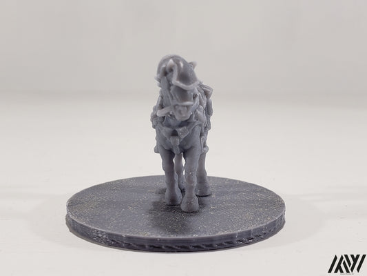 Horse A