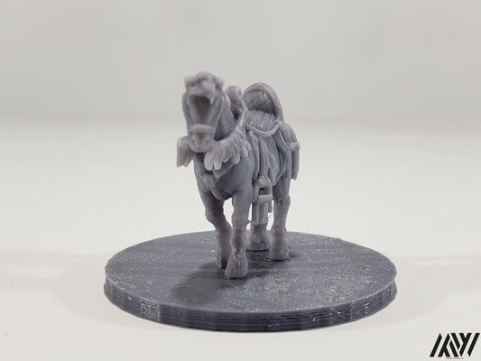 Horse B