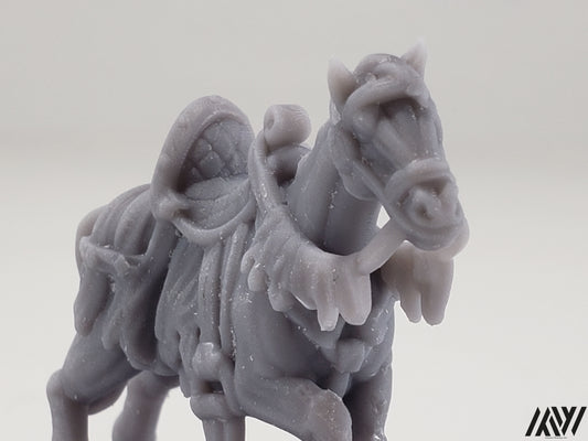 Horse D