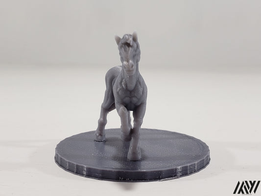 Horse E