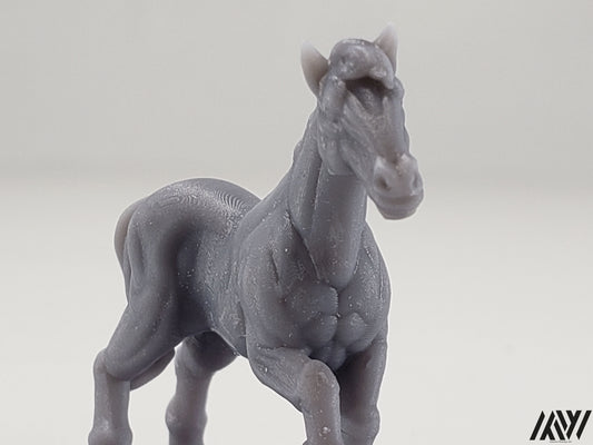 Horse E