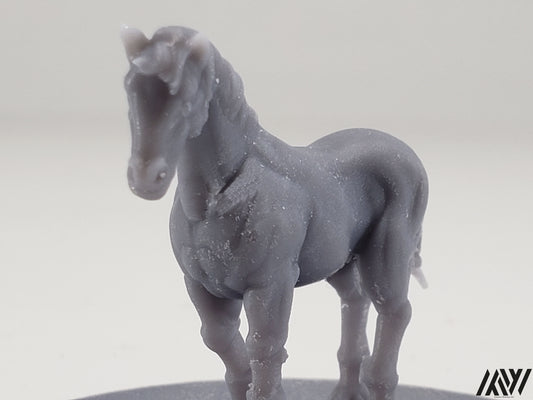Horse F