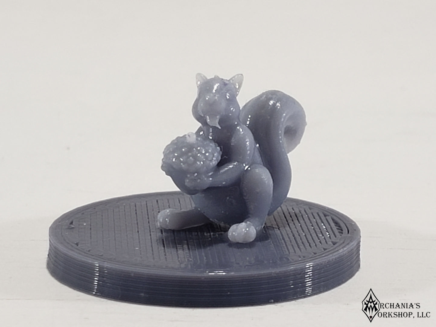 Squirrel