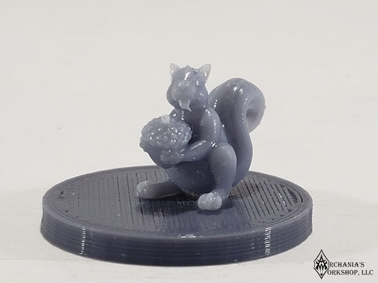 Squirrel