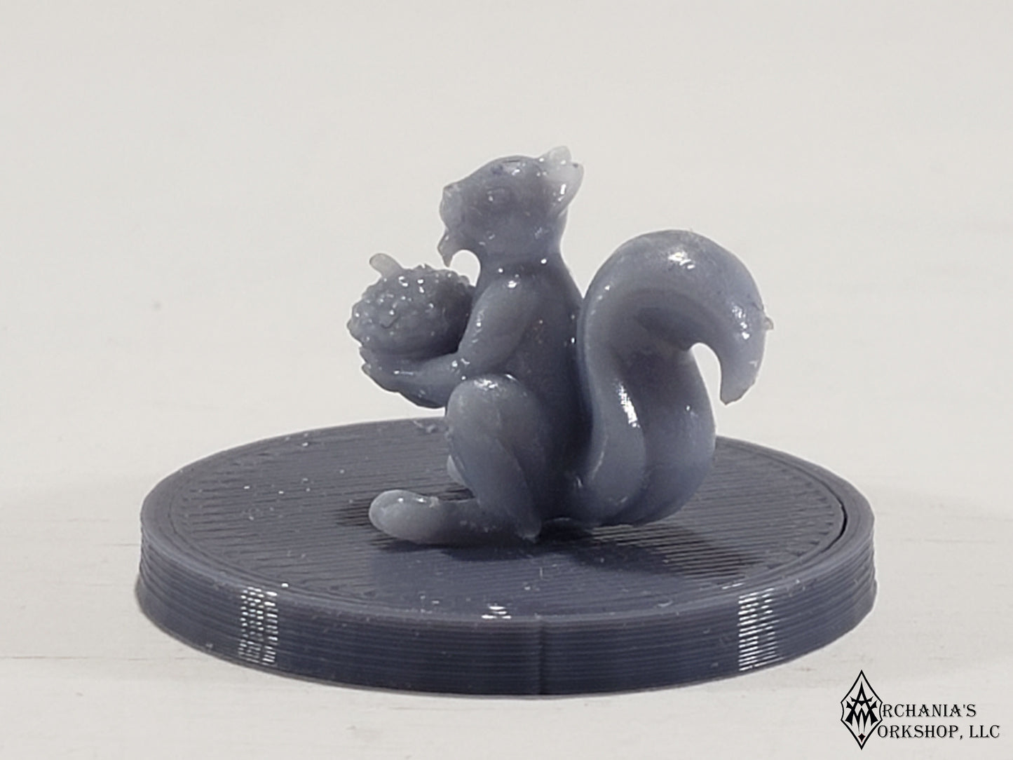 Squirrel
