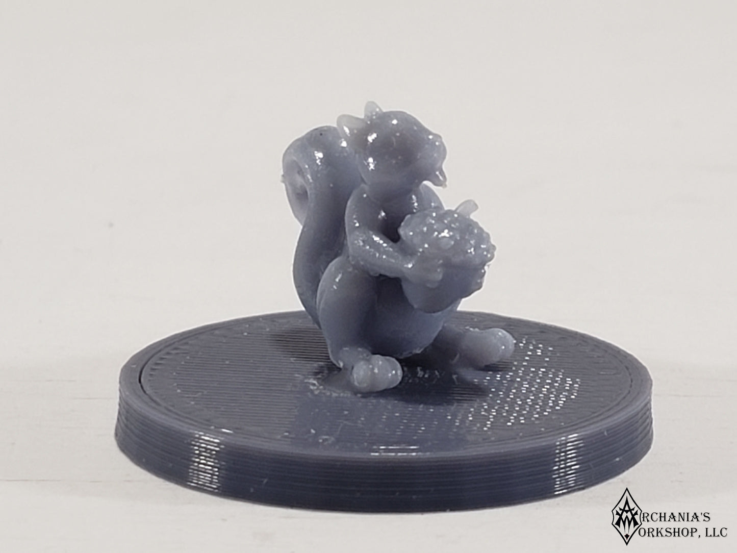 Squirrel