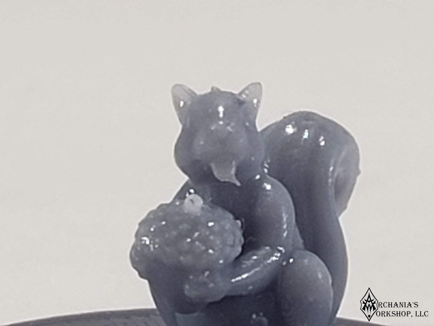 Squirrel