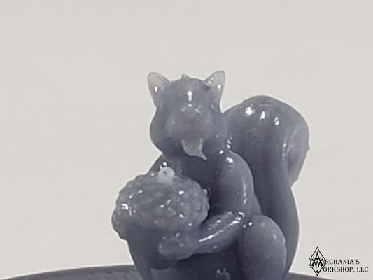 Squirrel