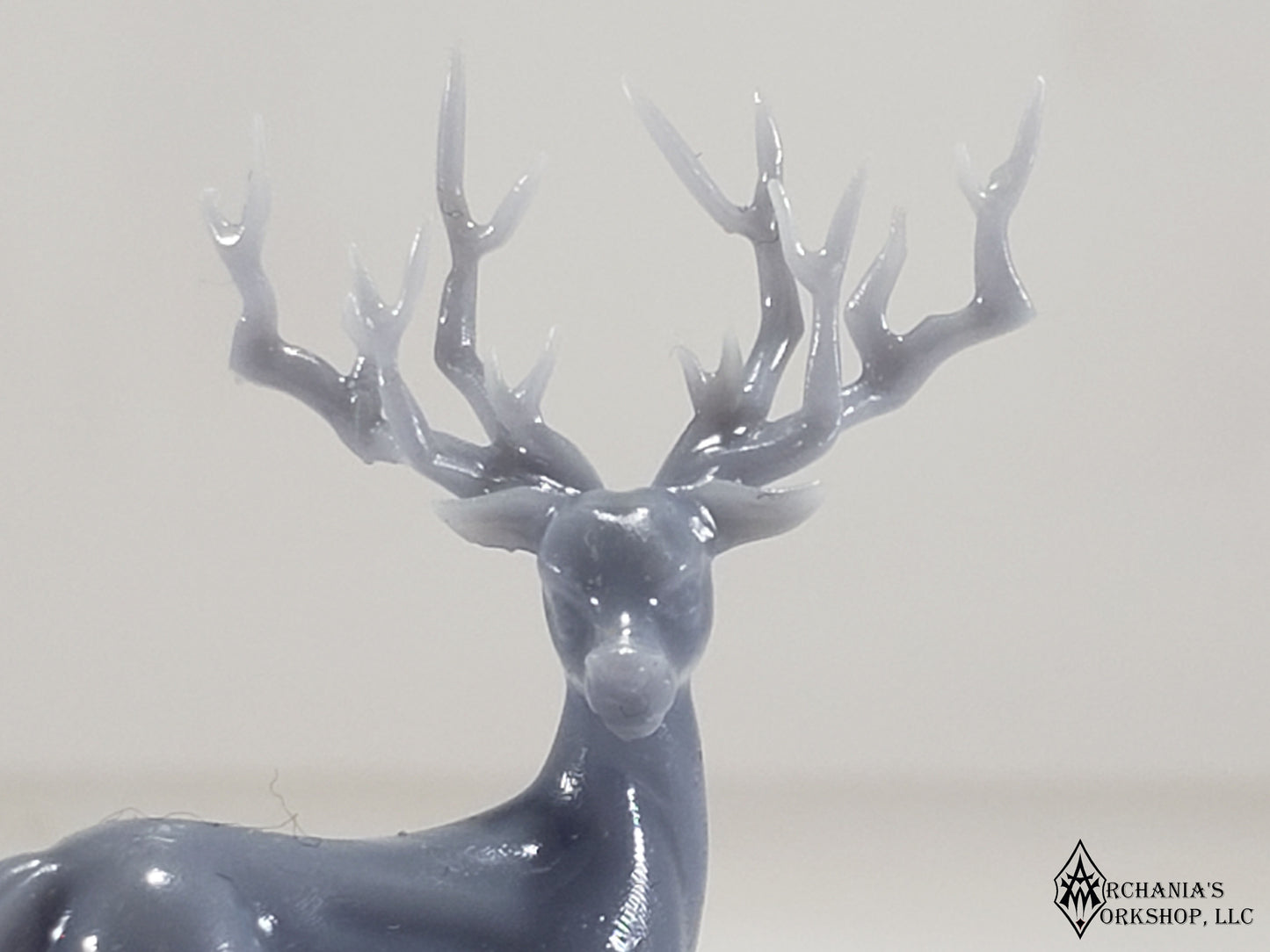 Deer