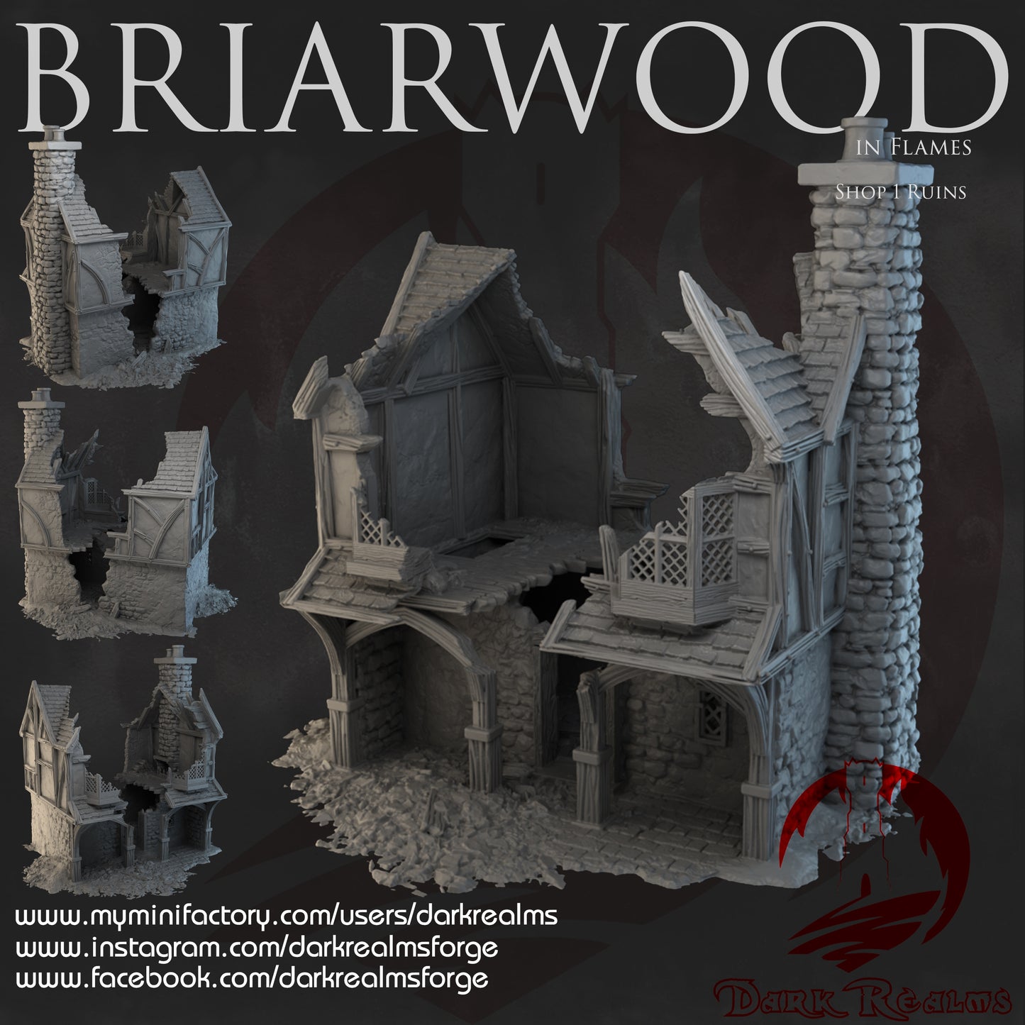 Briarwood Shop 1 Ruins