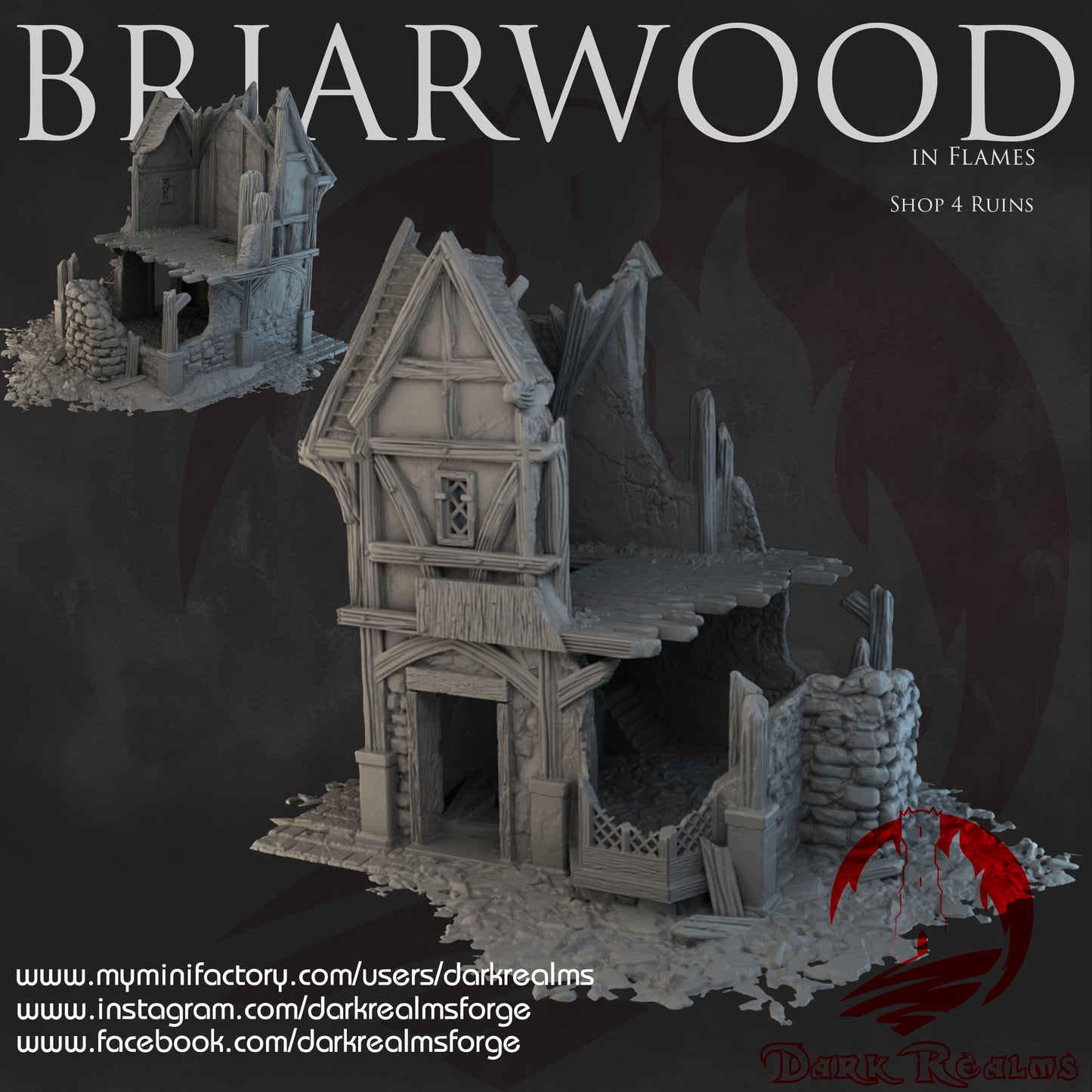 Briarwood Shop 4 Ruins