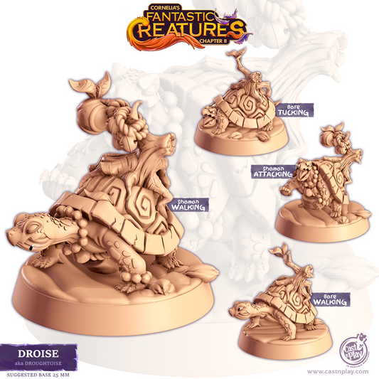 Droise - Droughtoise