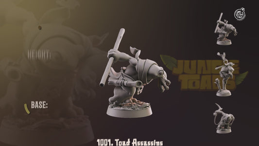 Ninja Assassin Toads